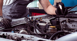 Incluimos todos los servicios